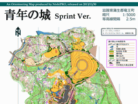 青年の城（スプリント）