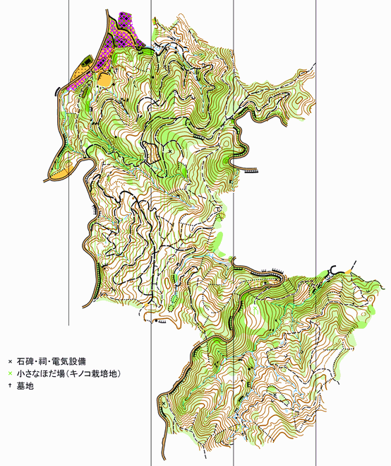 和紙のふるさと2019